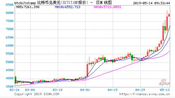 虐鼠群最新动态，探究背后的真相与我们的责任