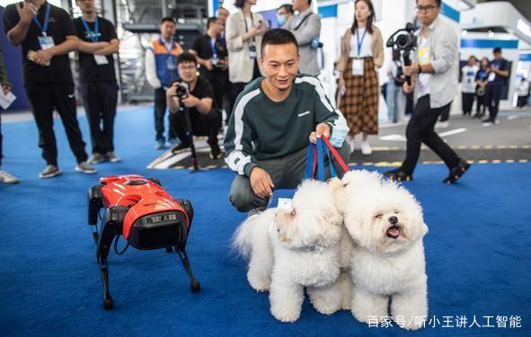 最新的犬，探索未来宠物的新领域