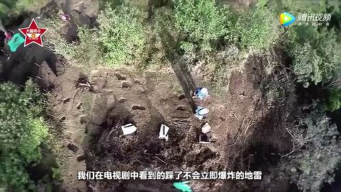 最新电视地雷，探索与解析