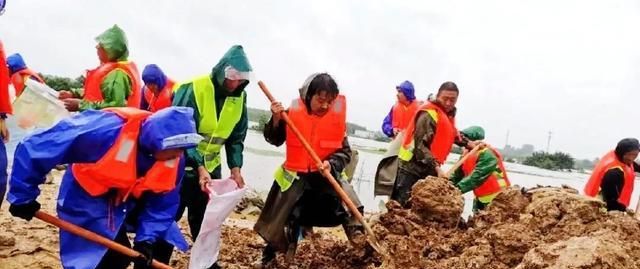 抗洪最新报道，各地全力应对，守护家园安全